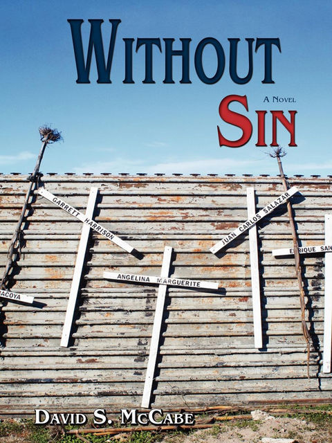 Without Sin, David S.McCabe