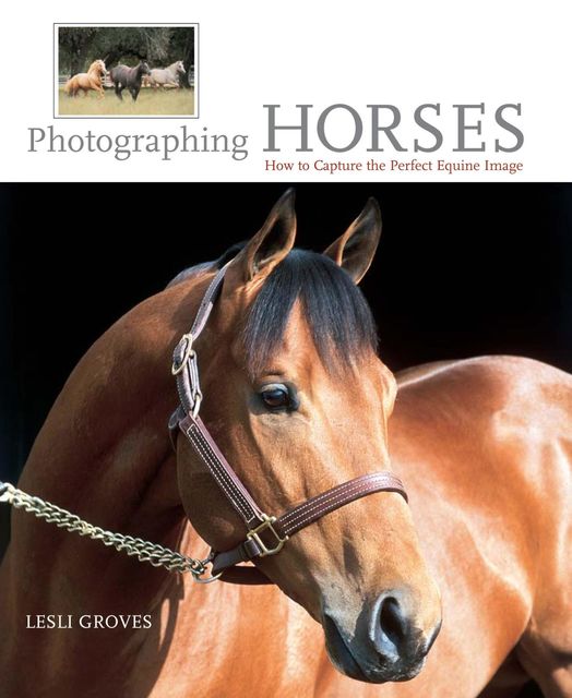Photographing Horses, Lesli Groves