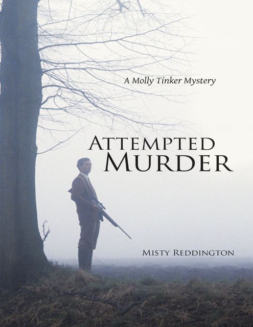Attempted Murder: A Molly Tinker Mystery, Misty Reddington