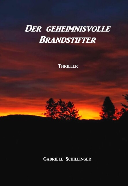 Der geheimnisvolle Brandstifter, Gabriele Schillinger
