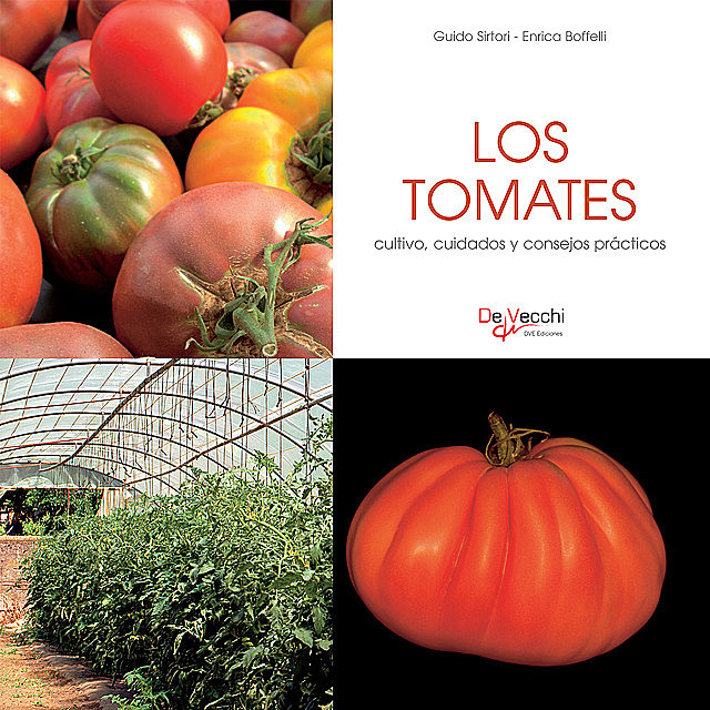 Los tomates – cultivo, cuidados y condejos prácticos, Enrica Boffelli, Guido Sirtori