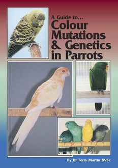A Guide to Colour Mutations and Genetics in Parrots, Terry Martin