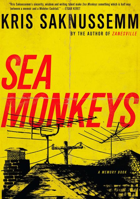 Sea Monkeys, Kris Saknussemm
