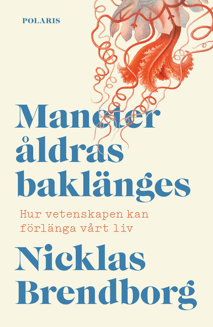 Maneter åldras baklänges, Nicklas Brendborg