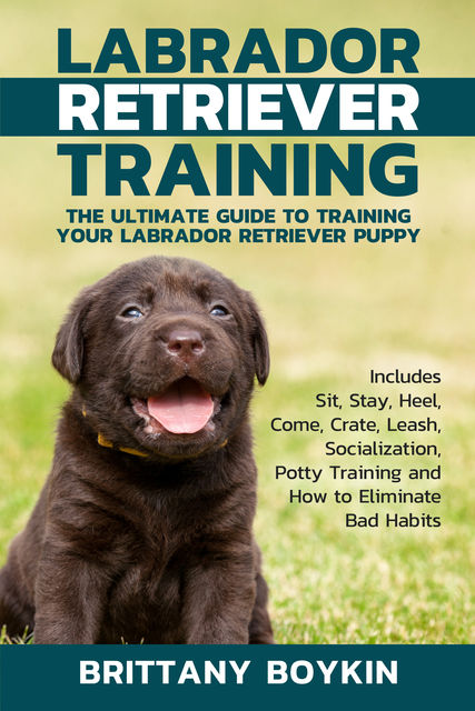 Labrador Retriever Training: The Ultimate Guide to Training Your Labrador Retriever Puppy, Brittany Boykin
