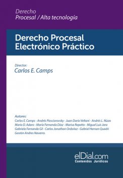 Derecho Procesal Electrónico Práctico, María Díaz, Miguel Jara, Andrés L. Nizzo, Andrés Piesciorovsky, Carlos E. Camps, Carlos Jonathan Ordoñez, Gabriel Hernan Quadri, Gabriela Fernanda Gil, Gastón Andres Navarro, Juan Darío Veltani, Mario D. Adaro, Marisa Repetto