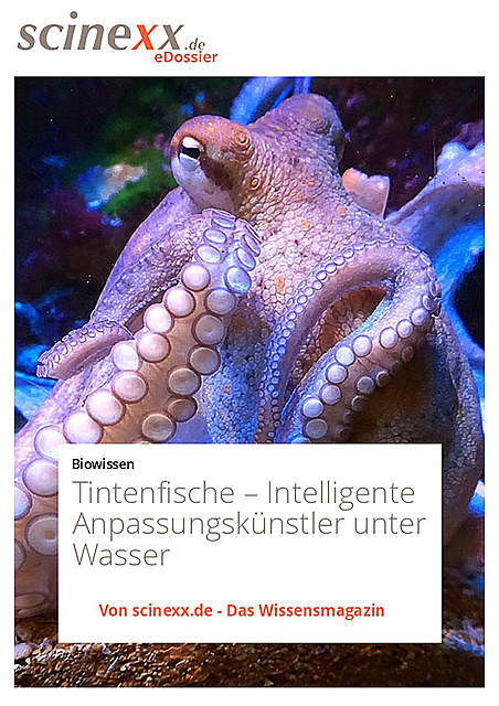 Tintenfische, Dieter Lohmann