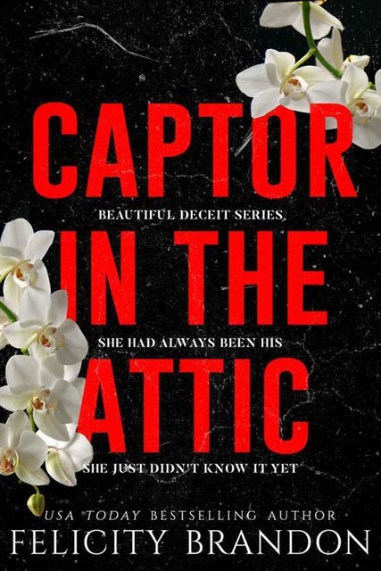 Captor In The Attic: A Dark Captivating Romance (Beautiful Deceit Book 1), Felicity Brandon