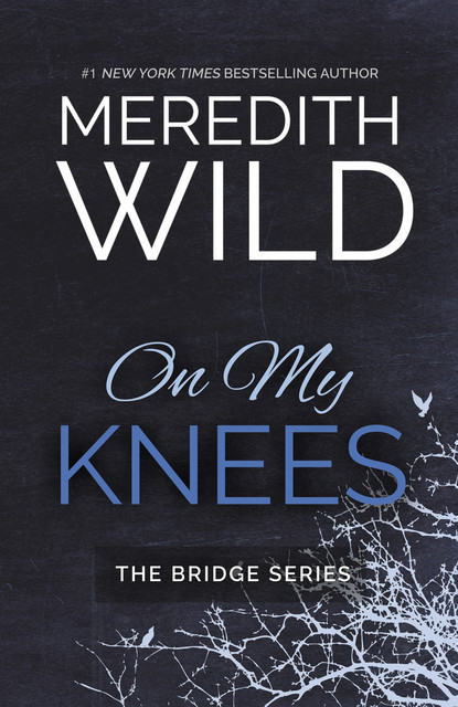 On My Knees, Meredith Wild