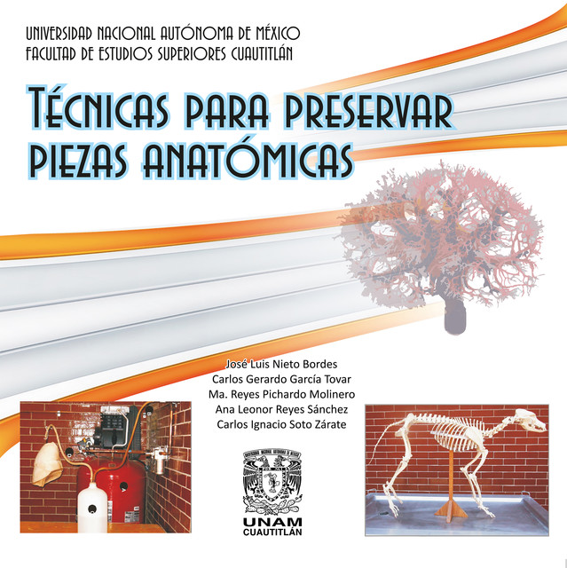 Técnicas para preservar piezas anatómicas, Carlos Gerardo García Tovar, Ma. Reyes Pichardo Molinero, José Luis Nieto Bordes