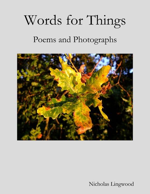 Words for Things: Poems and Photographs, Nicholas Lingwood