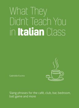 What They Didn't Teach You in Italian Class, Gabrielle Euvino