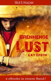 Brennende Lust: Gay Erotik, Elliot S. Harper