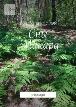 Сны Макара, Олег Нуритдинов