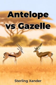 Antelope vs Gazelle, Sterling Xander