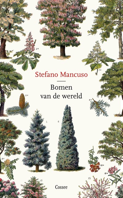 Bomen van de wereld, Stefano Mancuso