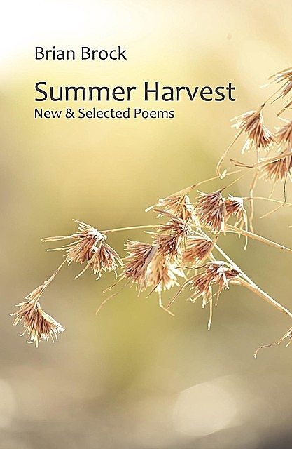 Summer Harvest, Brian Brock