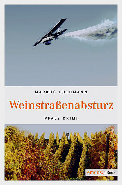 Weinstraßenabsturz, Markus Guthmann