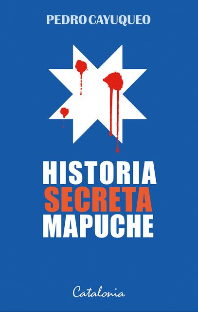 Historia secreta mapuche, Pedro Cayuqueo