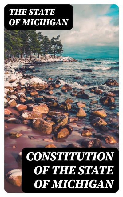 Constitution of the State of Michigan, The State of Michigan
