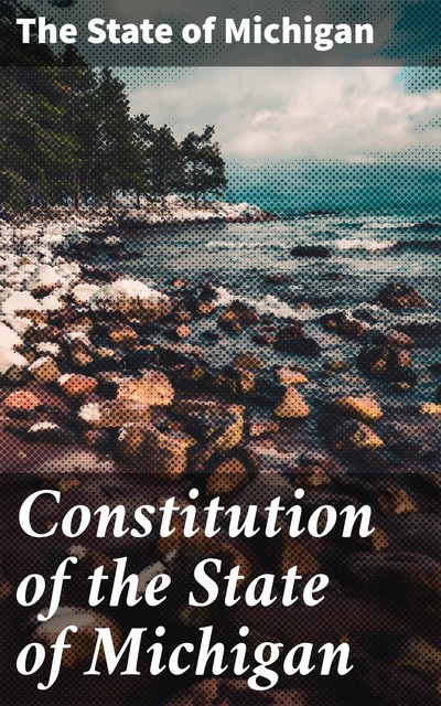Constitution of the State of Michigan, The State of Michigan