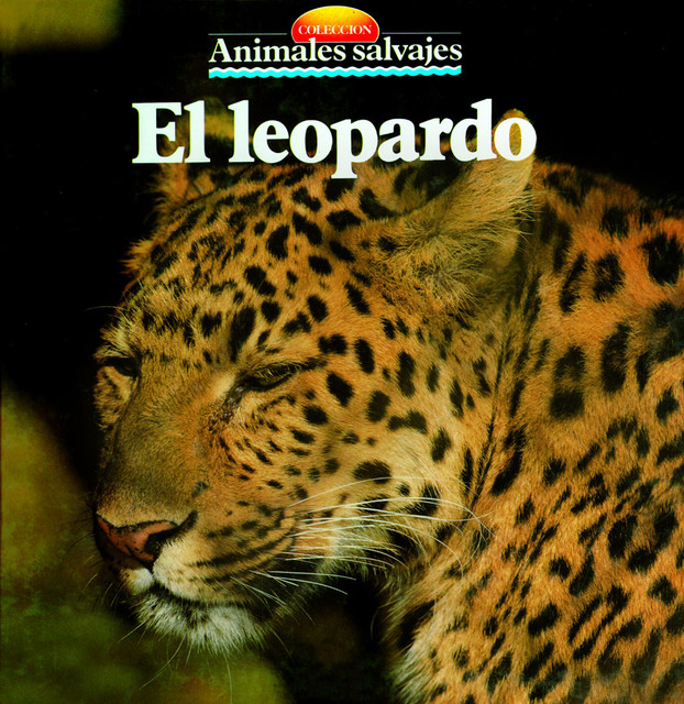 El leopardo, 