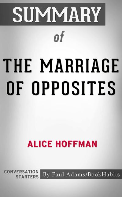 Summary of The Marriage of Opposites, Paul Adams