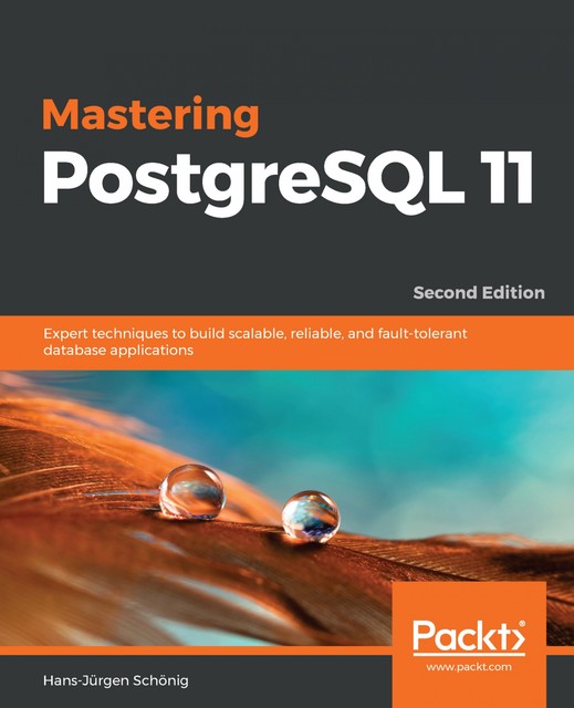 Mastering PostgreSQL 11, Hans-Jurgen Schonig