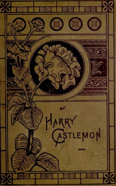 Don Gordon's Shooting-Box, Harry Castlemon