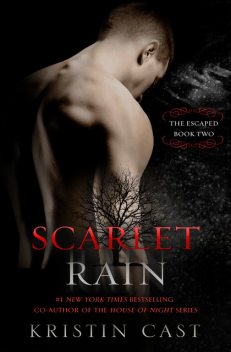 Scarlet Rain, P.C.Cast