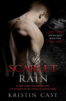 Scarlet Rain, P.C.Cast