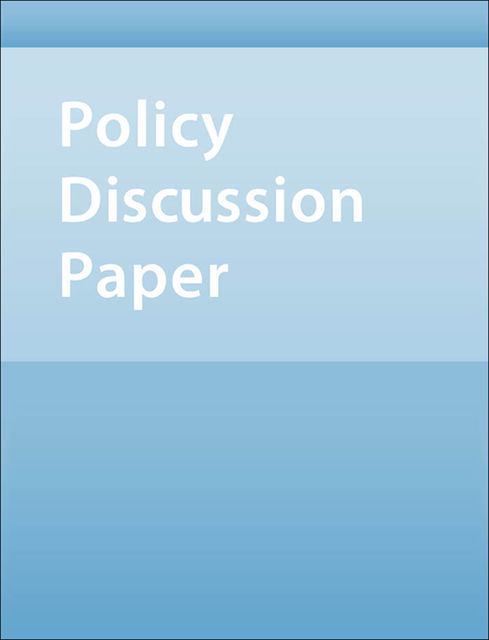 The Capital Inflows Problem: Concepts and Issues, Carmen Reinhart