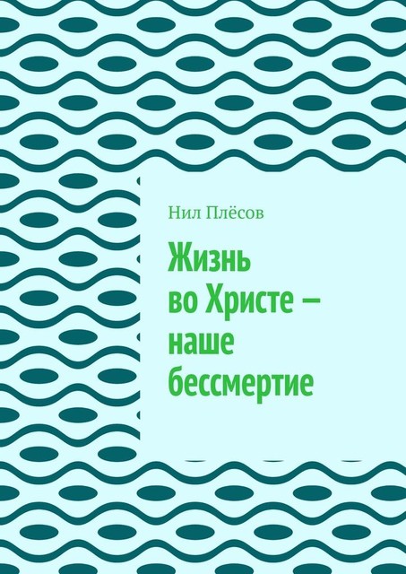 Жизнь во Христе — наше бессмертие, Нил Плёсов