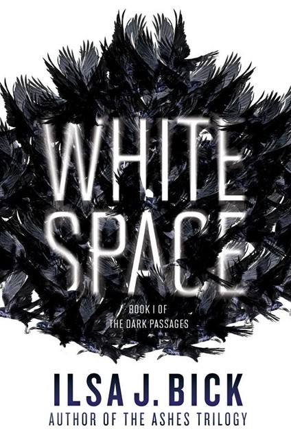White Space, Ilsa J.Bick