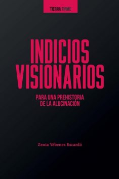 Indicios visionarios para una prehistoria de la alucinación, Zenia Yébenes Escardó