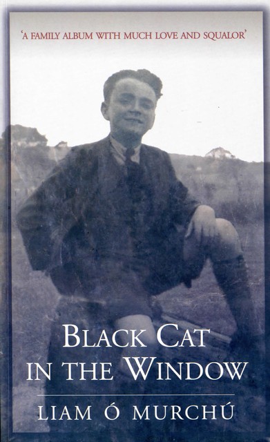 Black Cat in the Window, Liam Ó Murchú