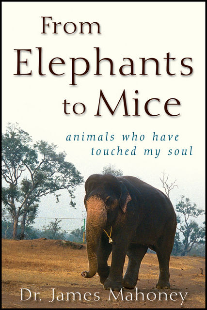 From Elephants to Mice, James Mahoney