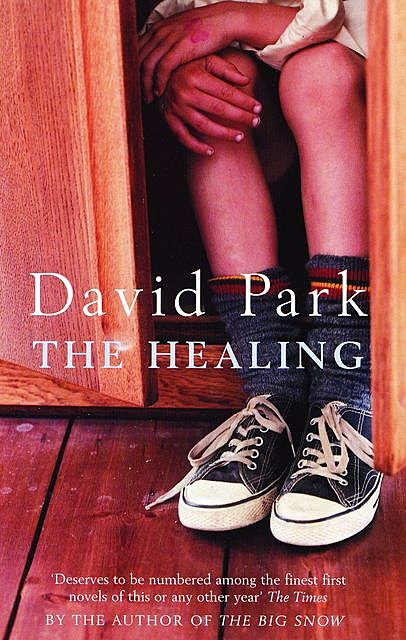 The Healing, David Park