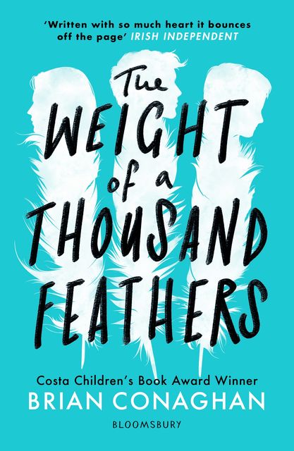 The Weight of a Thousand Feathers, Brian Conaghan