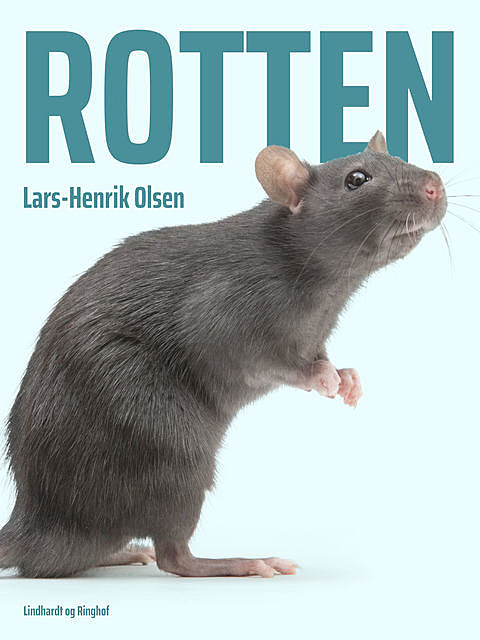 Rotten, Lars-Henrik Olsen