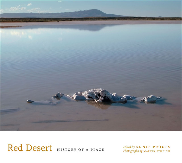 Red Desert, Martin Stupich
