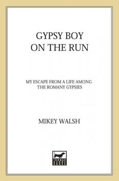 Gypsy Boy on the Run, Mikey Walsh