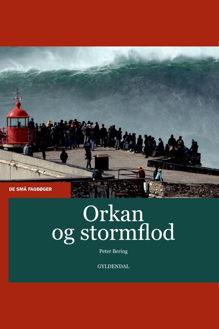 Orkan og stormflod, Peter Bering