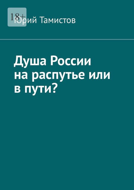 Душа России на распутье или в пути, Юрий Тамистов