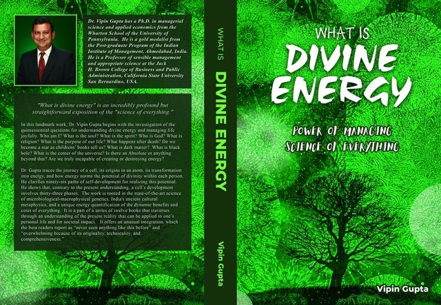 What Is Divine Energy, Vipin Gupta