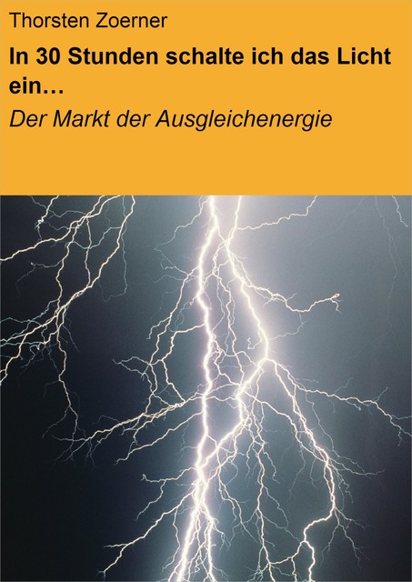 In 30 Stunden schalte ich das Licht ein, Thorsten Zoerner