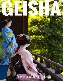 Geisha, Just Pictures