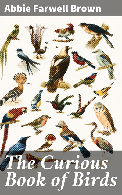 The Curious Book of Birds, Abbie Farwell Brown