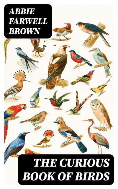 The Curious Book of Birds, Abbie Farwell Brown