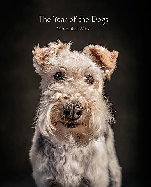 The Year of the Dogs, Vincent J. Musi
